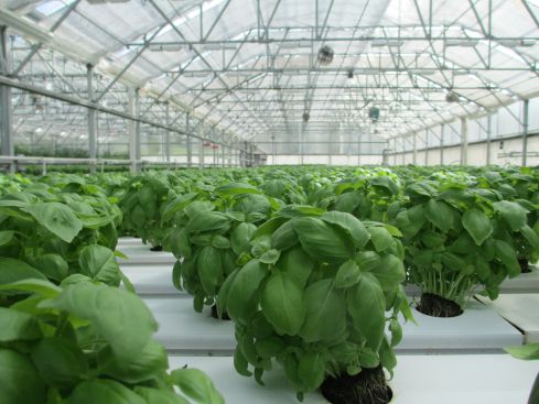 工業級加濕機協助紡織廠、食品廠、造紙廠更穩定的環境
